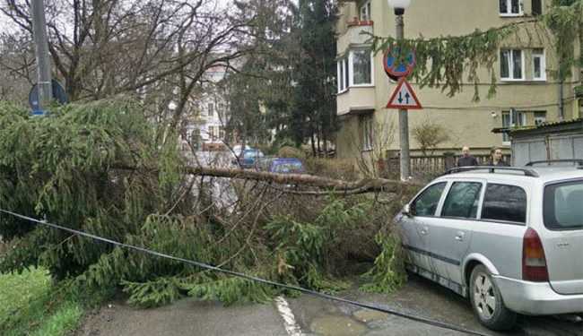 FURTUNA ŞI-A FĂCUT DE CAP ŞI ÎN JUDEŢUL MUREŞ
