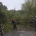 Copac căzut peste linia de electricitate