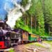 JURNAL DE CĂLĂTORIE – CU MOCĂNIȚA PE VALEA VASERULUI