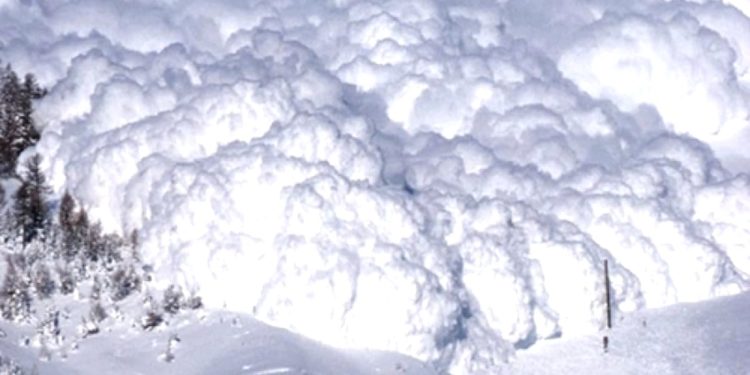A fost gasit trupul alpinistului disparut in avalansa din decembrie!