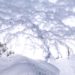 A fost gasit trupul alpinistului disparut in avalansa din decembrie!