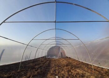 Când pasiunea întâlnește eficiența: povestea unui hobby transformat într-o producție constantă cu ajutorul unui solar de grădină de la solarii-izosun.ro