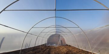 Când pasiunea întâlnește eficiența: povestea unui hobby transformat într-o producție constantă cu ajutorul unui solar de grădină de la solarii-izosun.ro