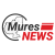 Poză de profil pentru redactie